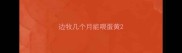边牧几个月能喂蛋黄