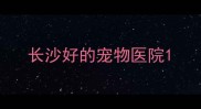 长沙好的宠物医院