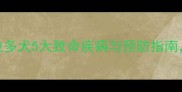 必看拉布拉多犬5大致命疾病与预防指南养宠人必存