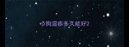 小狗湿疹多久能好