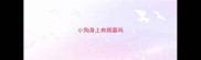 小狗身上有病菌吗