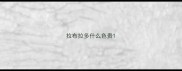 拉布拉多什么色贵