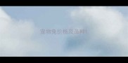 宠物兔价格及品种