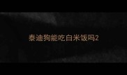 泰迪狗能吃白米饭吗