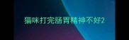 猫咪打完肠胃精神不好