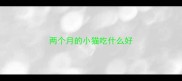 两个月的小猫吃什么好