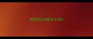 狗狗可以喝冰水吗