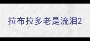 拉布拉多老是流泪