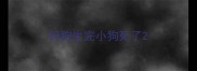 母狗生完小狗死了
