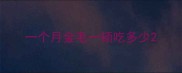 一个月金毛一顿吃多少