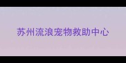 苏州流浪宠物救助中心