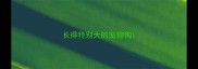 长得特别大的宠物狗