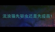 流浪猫先驱虫还是先疫苗