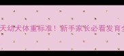 边牧40天幼犬体重标准新手家长必看发育全攻略