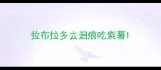 拉布拉多去泪痕吃紫薯