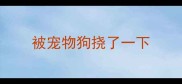 被宠物狗挠了一下