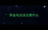 养金毛应该注意什么