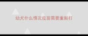 幼犬什么情况疫苗需要重新打