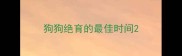 狗狗绝育的最佳时间