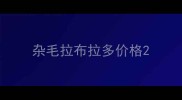 杂毛拉布拉多价格