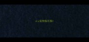 diy宠物猫衣服