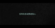 拉布拉多幼狗老咬人
