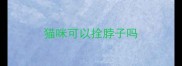 猫咪可以拴脖子吗