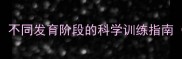 边牧智商排名不同发育阶段的科学训练指南附养宠手册