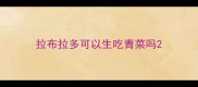 拉布拉多可以生吃青菜吗