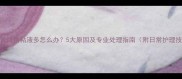 金毛犬口角粘液多怎么办5大原因及专业处理指南附日常护理技巧