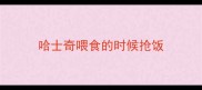 哈士奇喂食的时候抢饭