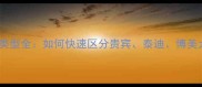 泰迪犬类型全如何快速区分贵宾泰迪博美犬特征