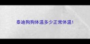 泰迪狗狗体温多少正常体温