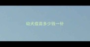 幼犬疫苗多少钱一针