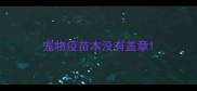 宠物疫苗本没有盖章