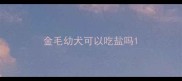 金毛幼犬可以吃盐吗