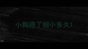 小狗得了细小多久