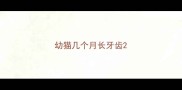 幼猫几个月长牙齿