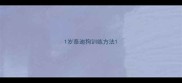 1岁泰迪狗训练方法