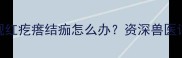 金毛犬身上出现红疙瘩结痂怎么办资深兽医详解皮肤问题全