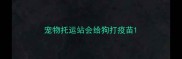 宠物托运站会给狗打疫苗