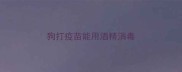 狗打疫苗能用酒精消毒