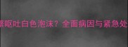 猫咪频繁呕吐白色泡沫全面病因与紧急处理指南