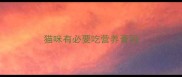 猫咪有必要吃营养膏吗