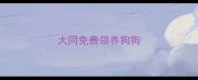 大同免费领养狗狗