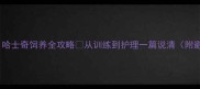 新手必看哈士奇饲养全攻略从训练到护理一篇说清附避坑指南