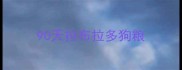 90天拉布拉多狗粮