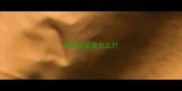 狗狗疫苗要怎么打