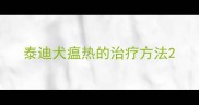 泰迪犬瘟热的治疗方法