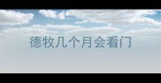 德牧几个月会看门